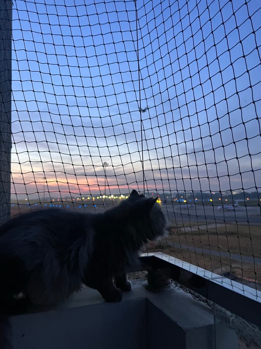 Aabha's home photo 5