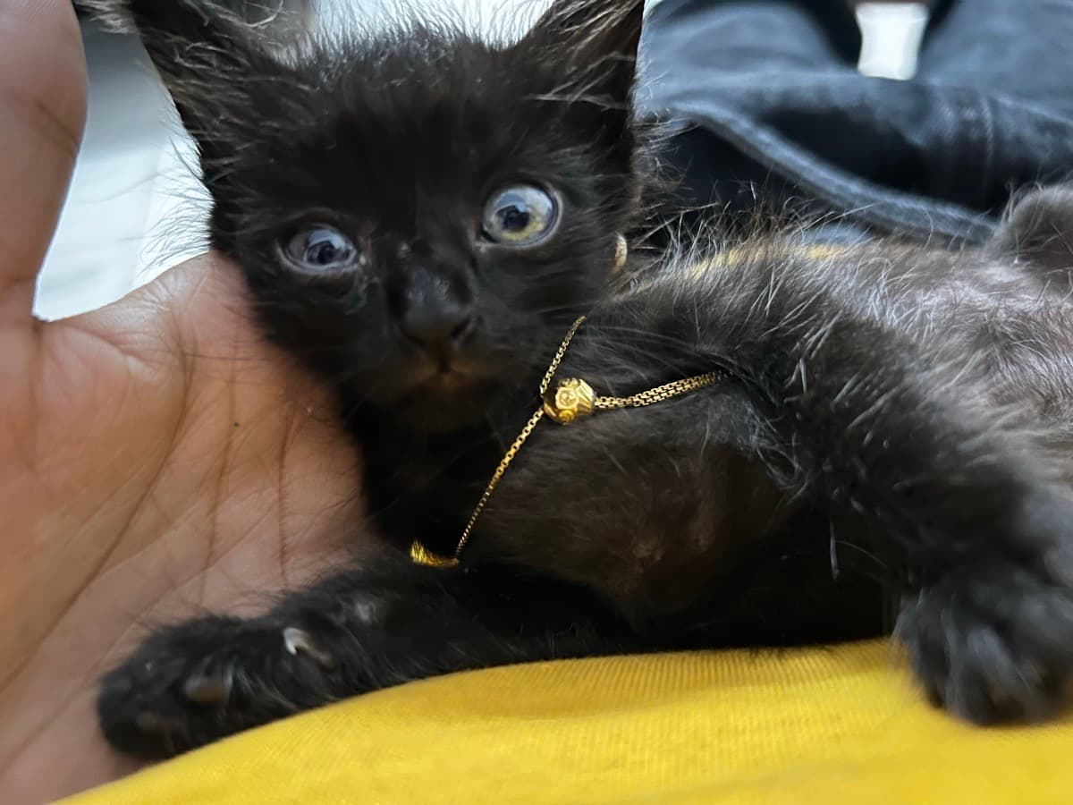 Swetha's home photo 6