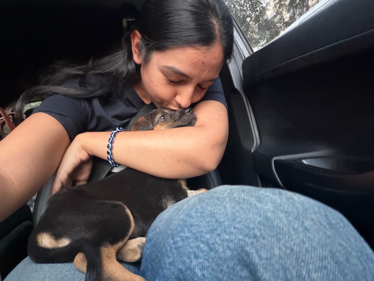 Arshleen's profile photo