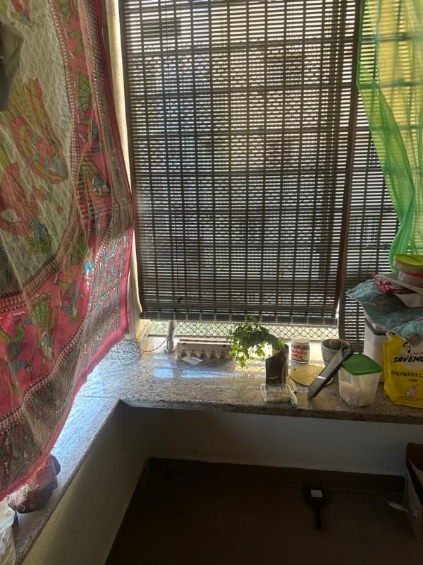 Shubhra's home photo 1