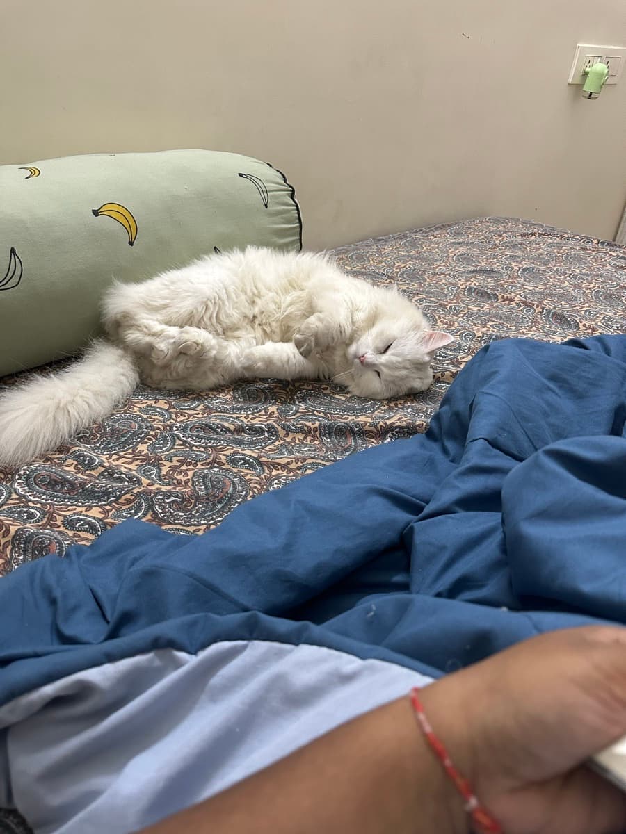 Shubhra's home photo 4