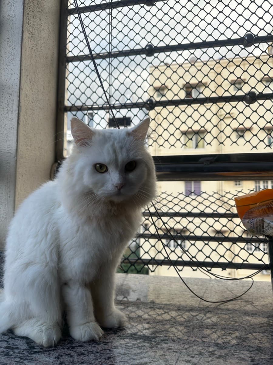 Shubhra's home photo 5