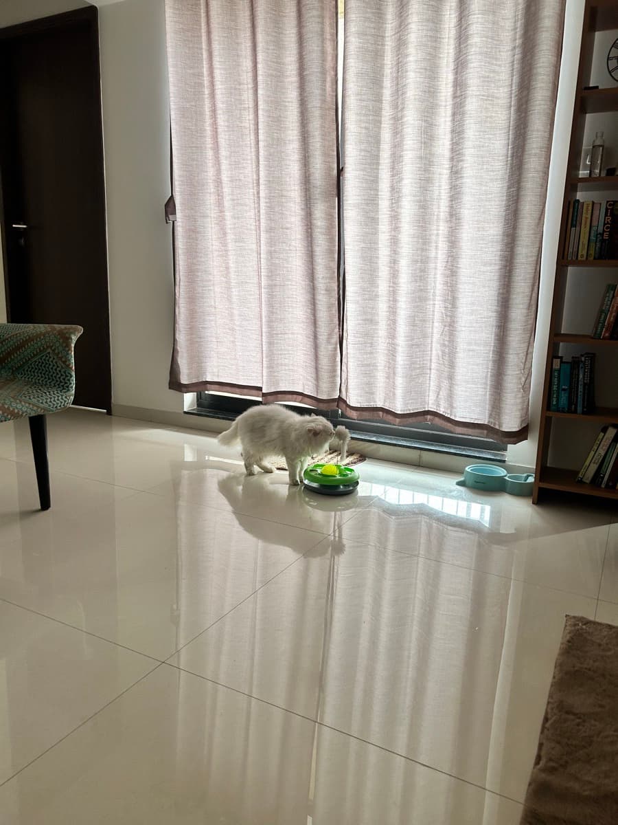 Kaustubh's home photo 2