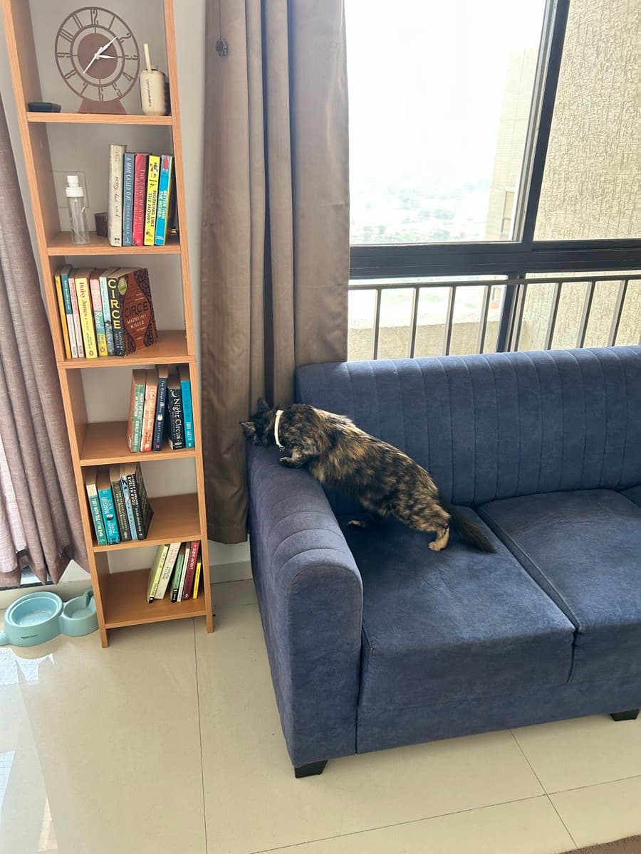 Kaustubh's home photo 3