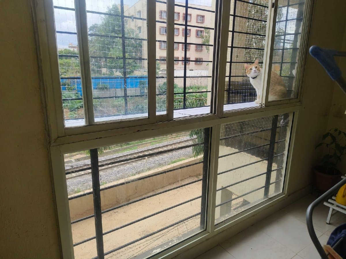 Mohar's home photo 3