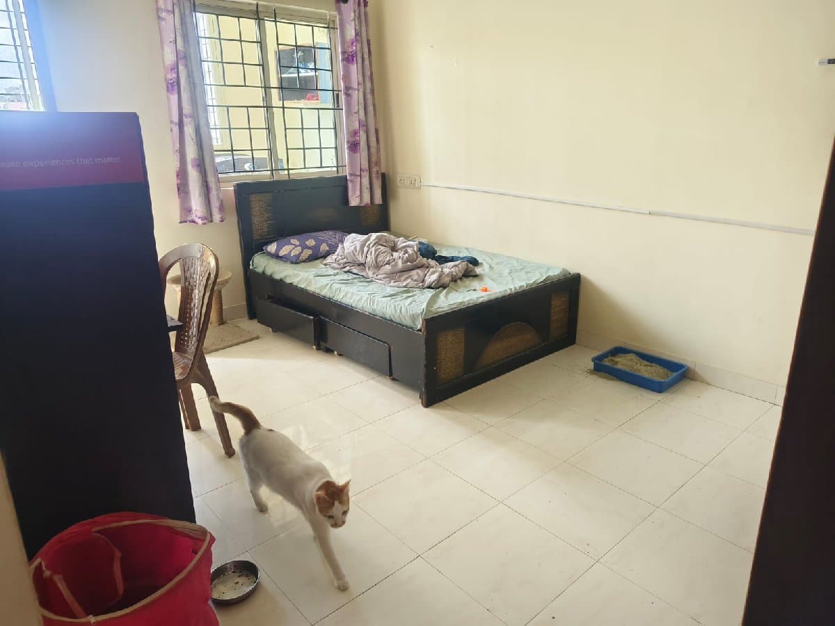 Mohar's home photo 5