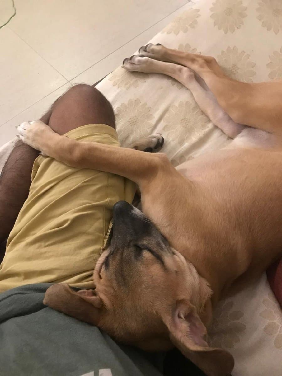 Debdulal's home photo 1