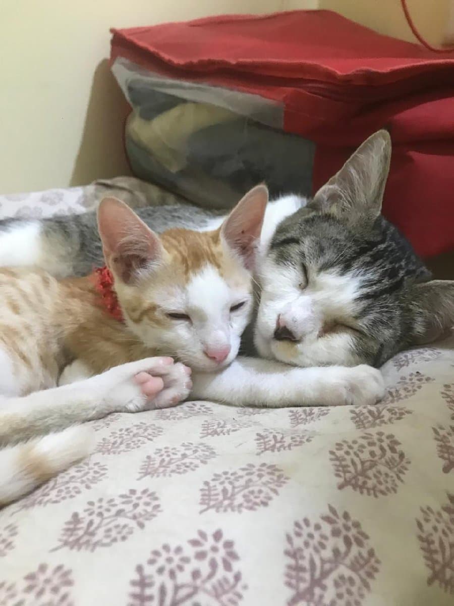 Debdulal's home photo 2