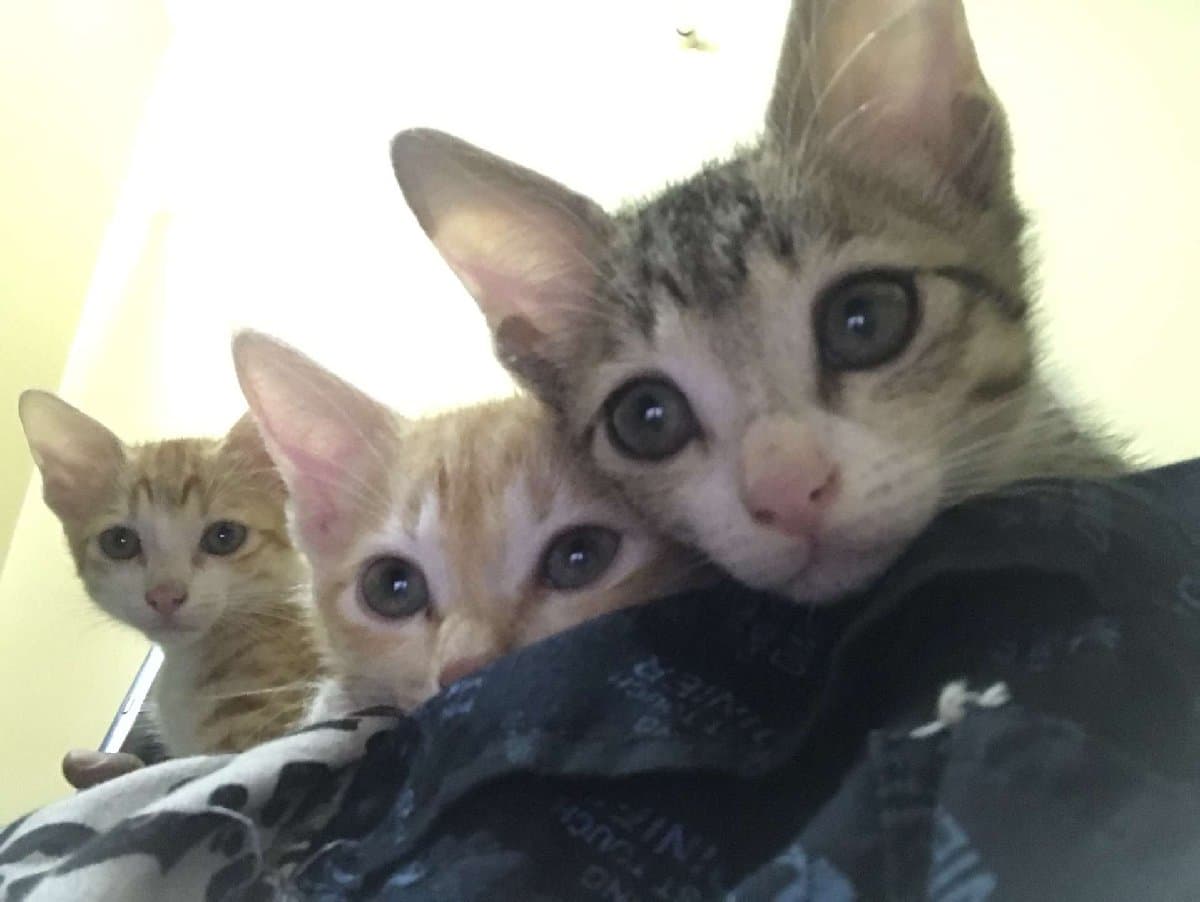 Debdulal's profile photo