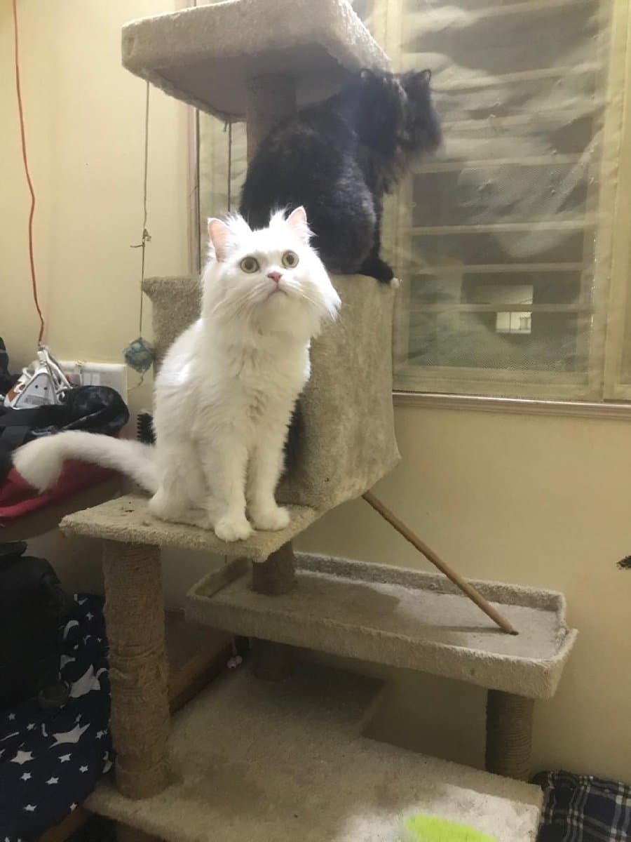 Debdulal's home photo 3