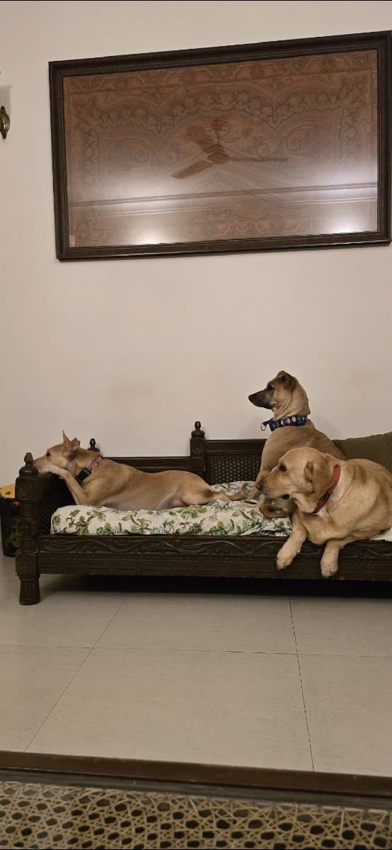 Debdulal's home photo 6