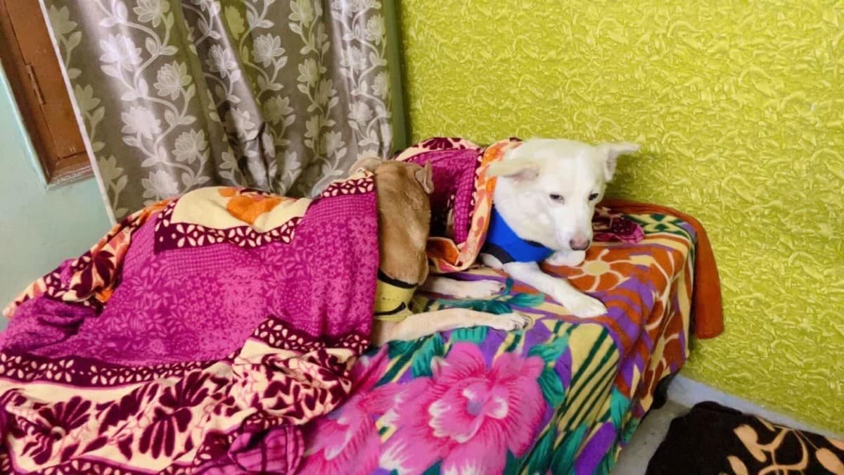 Khushi's home photo 2