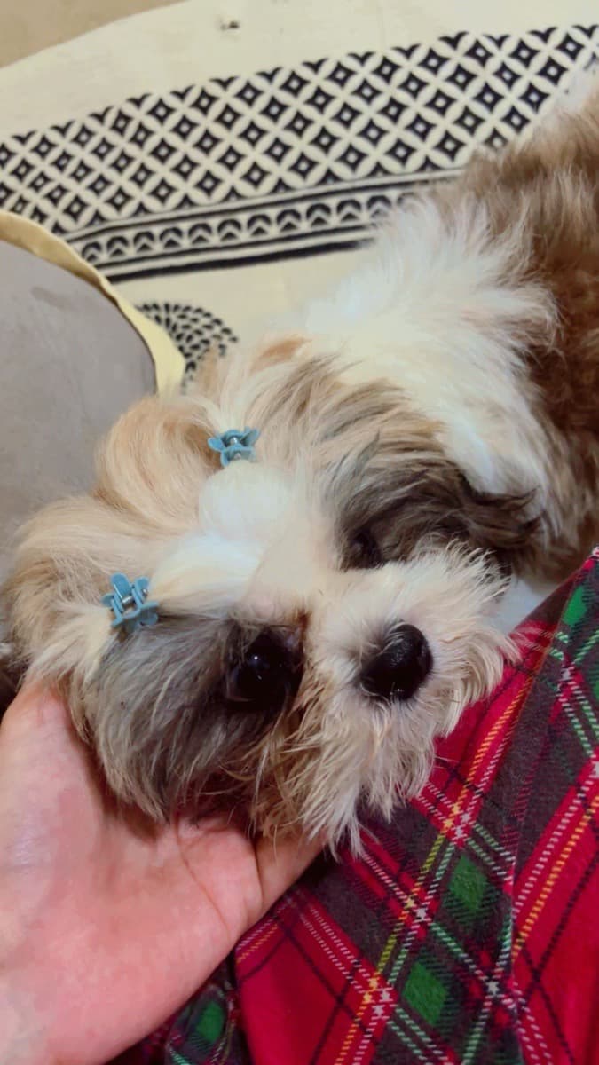 Khushi's home photo 3