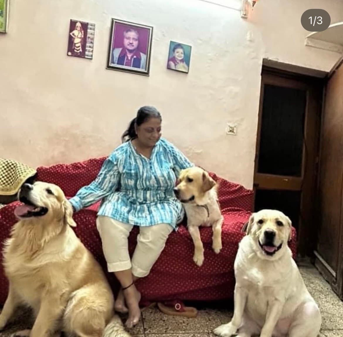 Sadgi's home photo 3