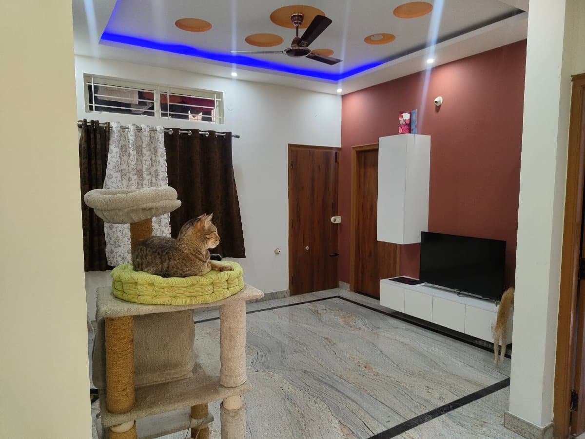 Trisha's home photo 2