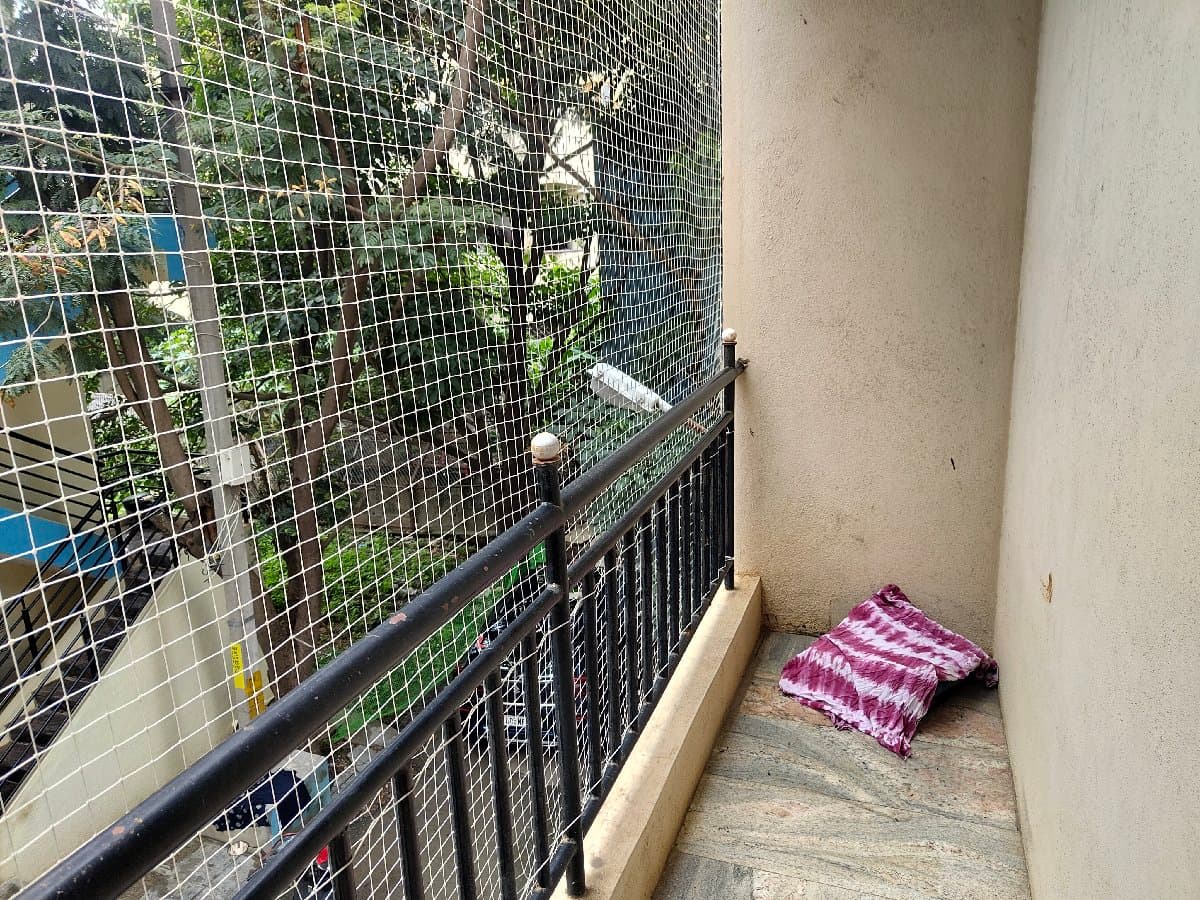 Trisha's home photo 4