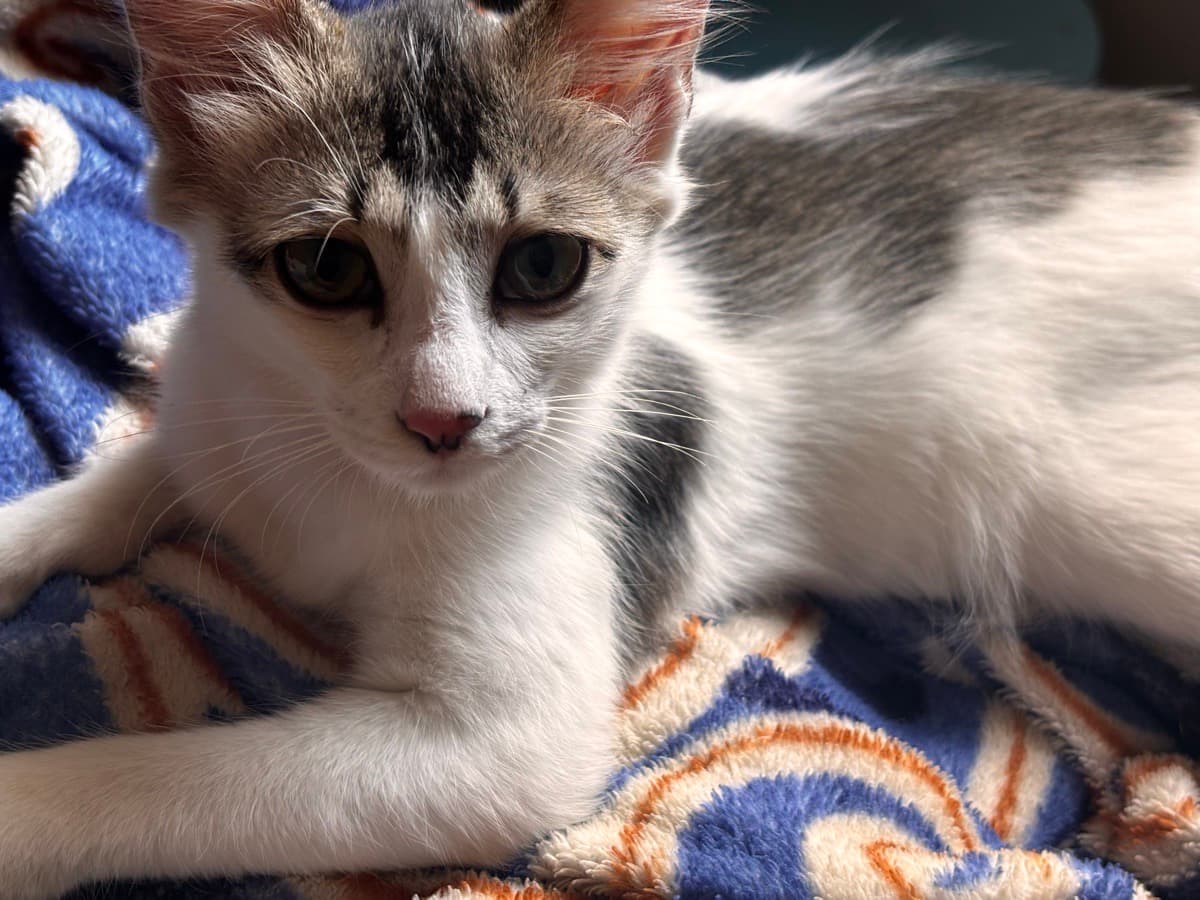 Samhita's home photo 2