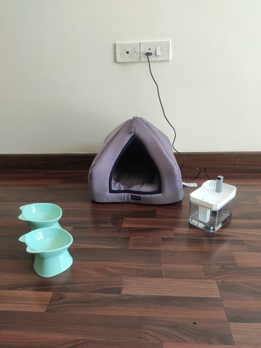 Nikitha's home photo 2