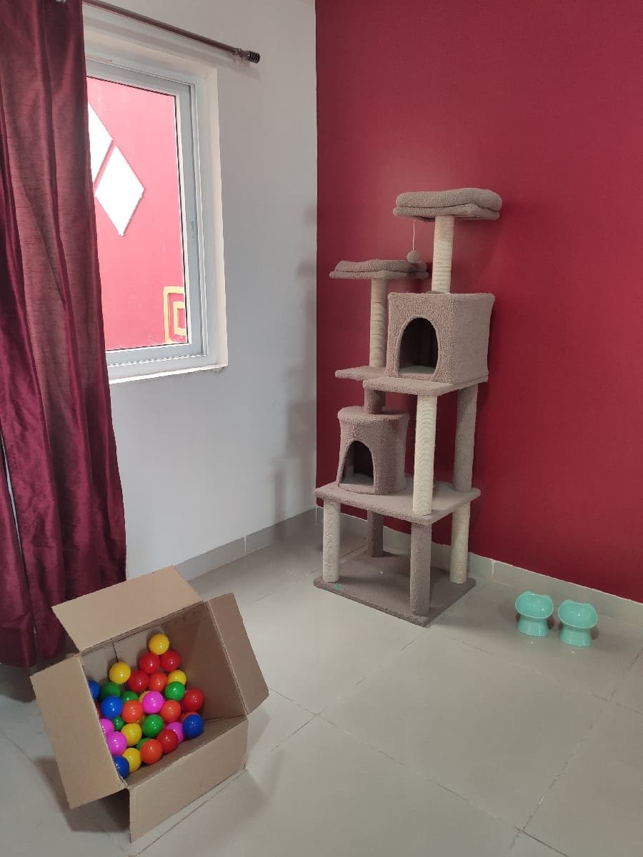 Nikitha's home photo 1