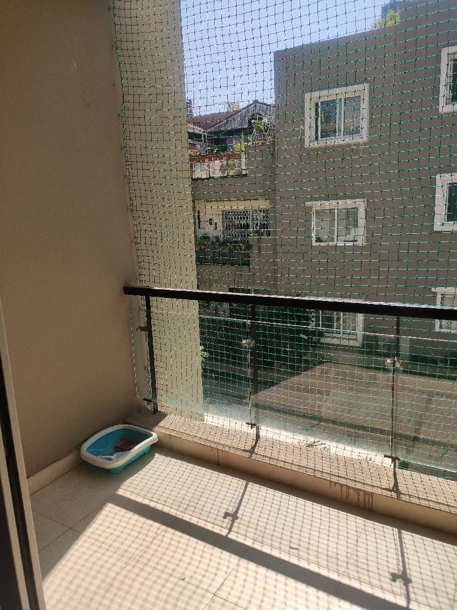 Nikitha's home photo 4