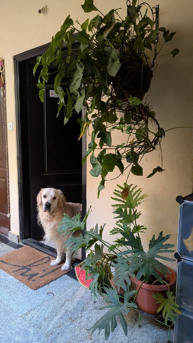 Meghana's home photo 1