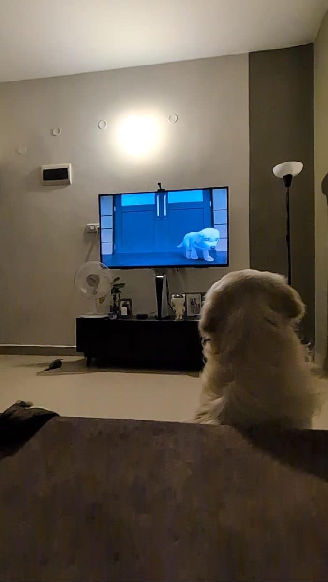 Meghana's home photo 2