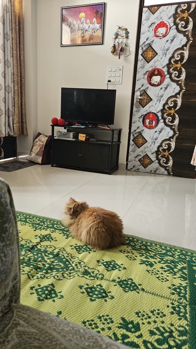 Sukirti's home photo 1