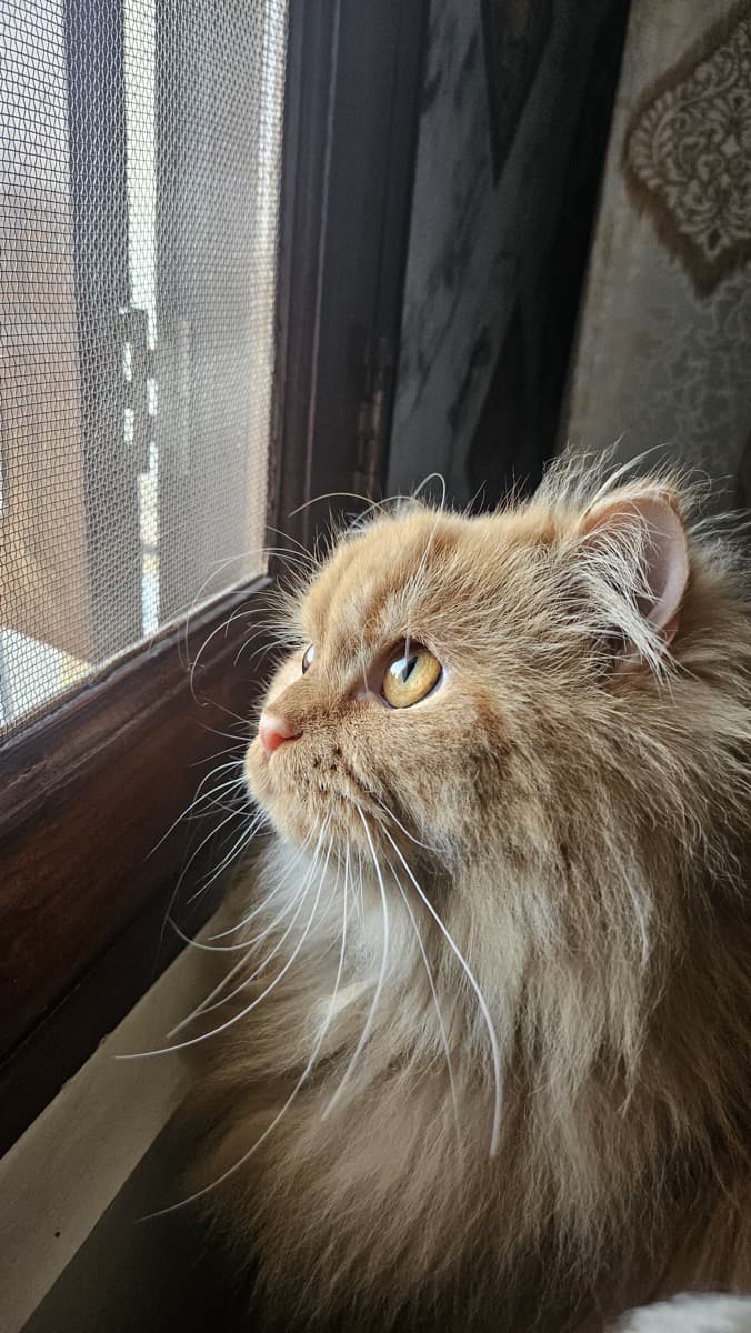 Sukirti's home photo 2