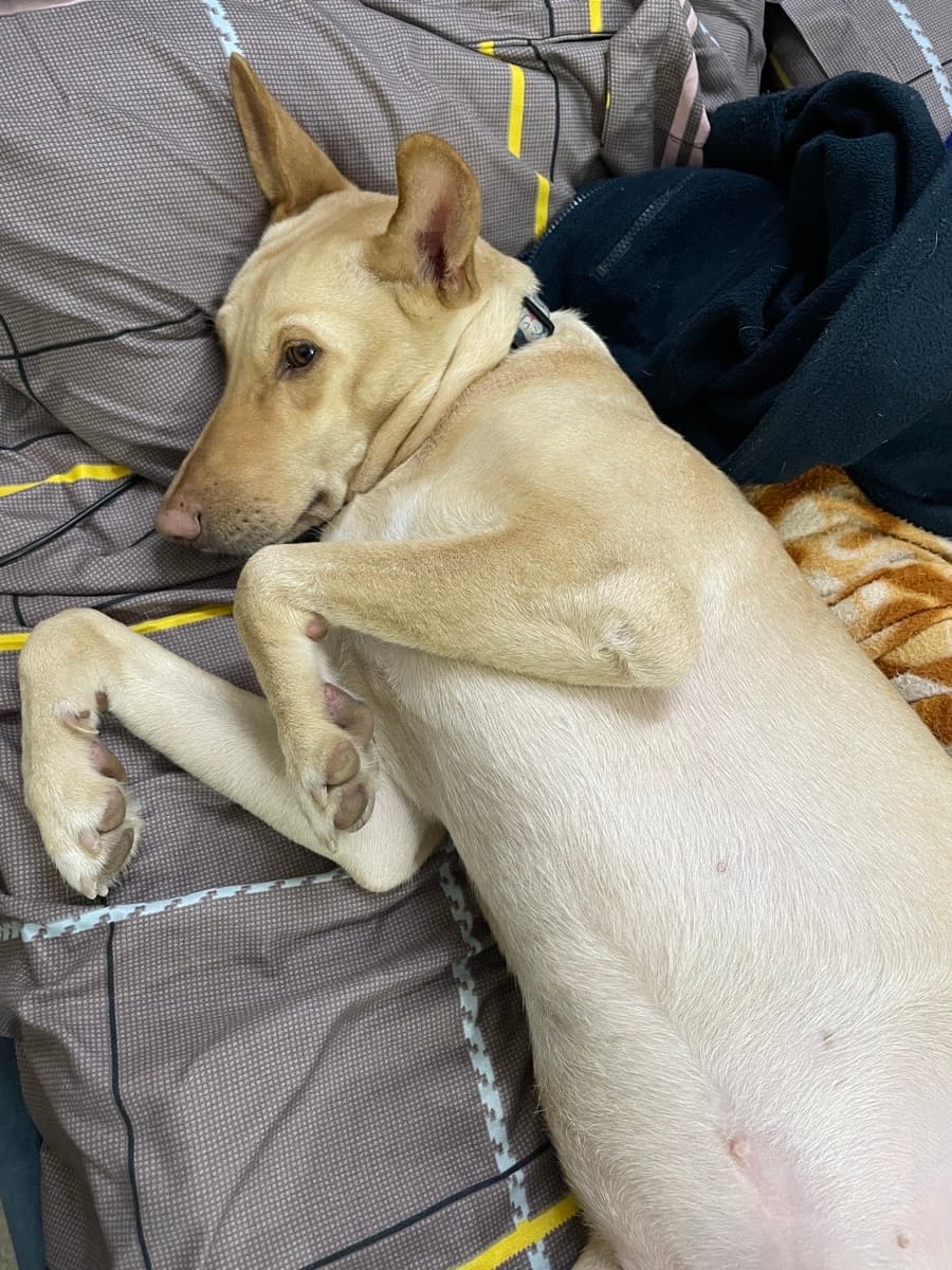 Megha's home photo 2