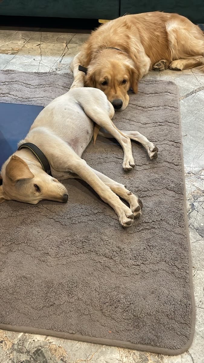 Megha's home photo 3