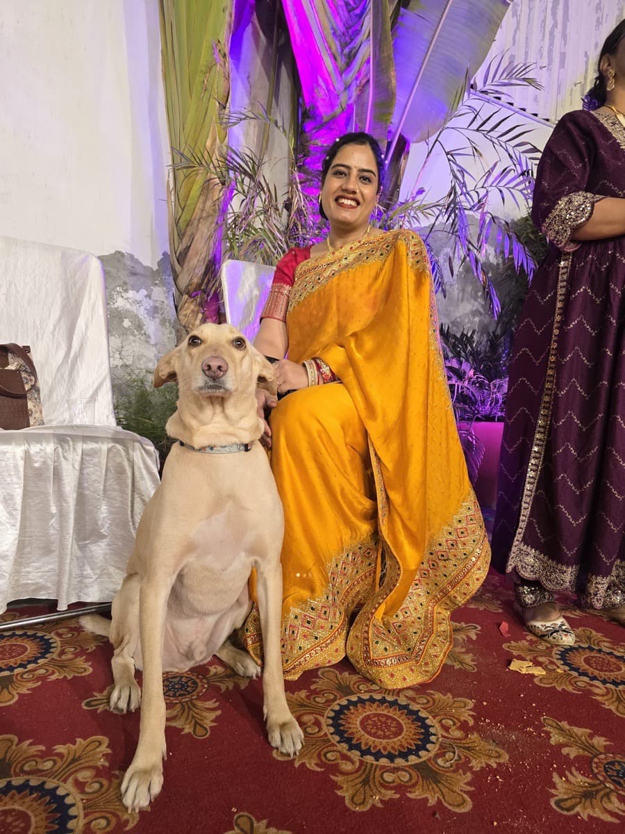 Megha's profile photo