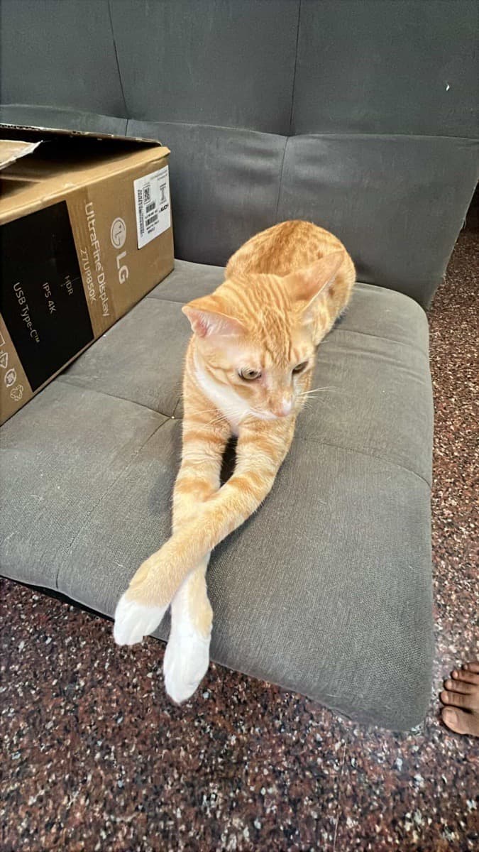 Tejaswini's home photo 1