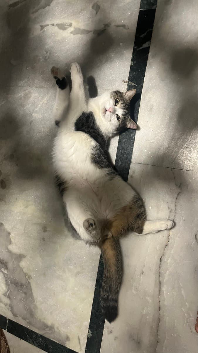 Madiha's home photo 6