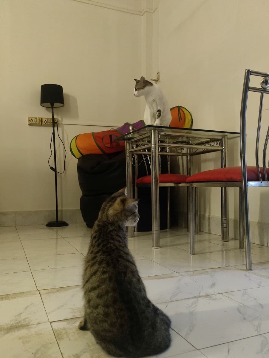 Nausheen's home photo 1