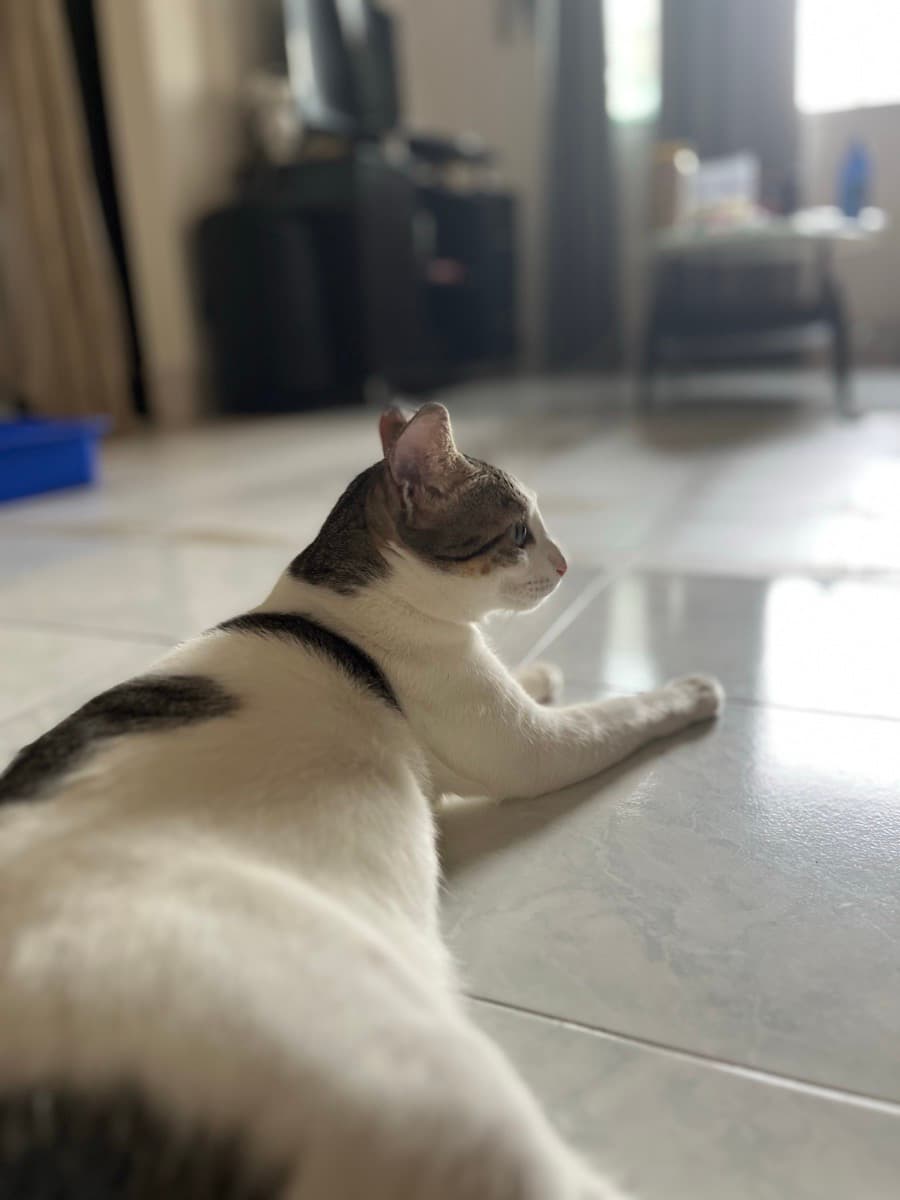 Nausheen's home photo 2