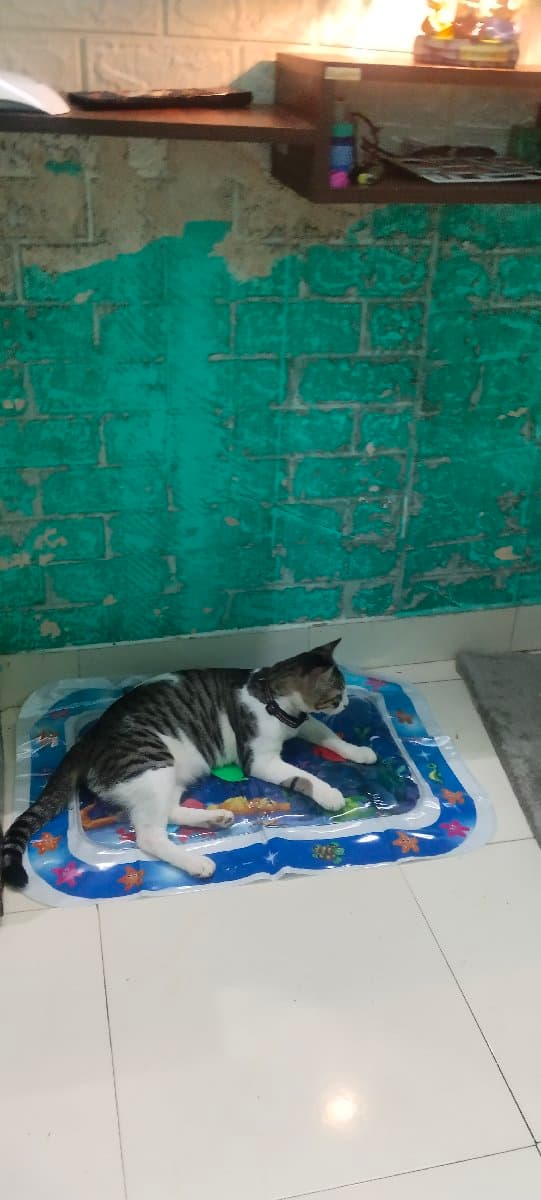 Mahalaxmi's home photo 3