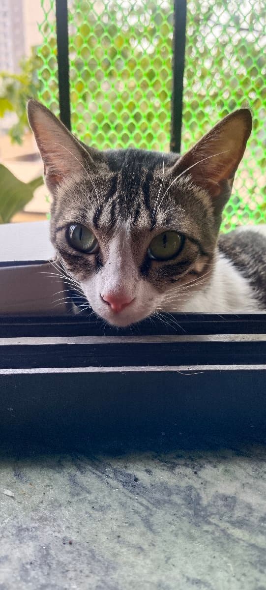 Mahalaxmi's home photo 4