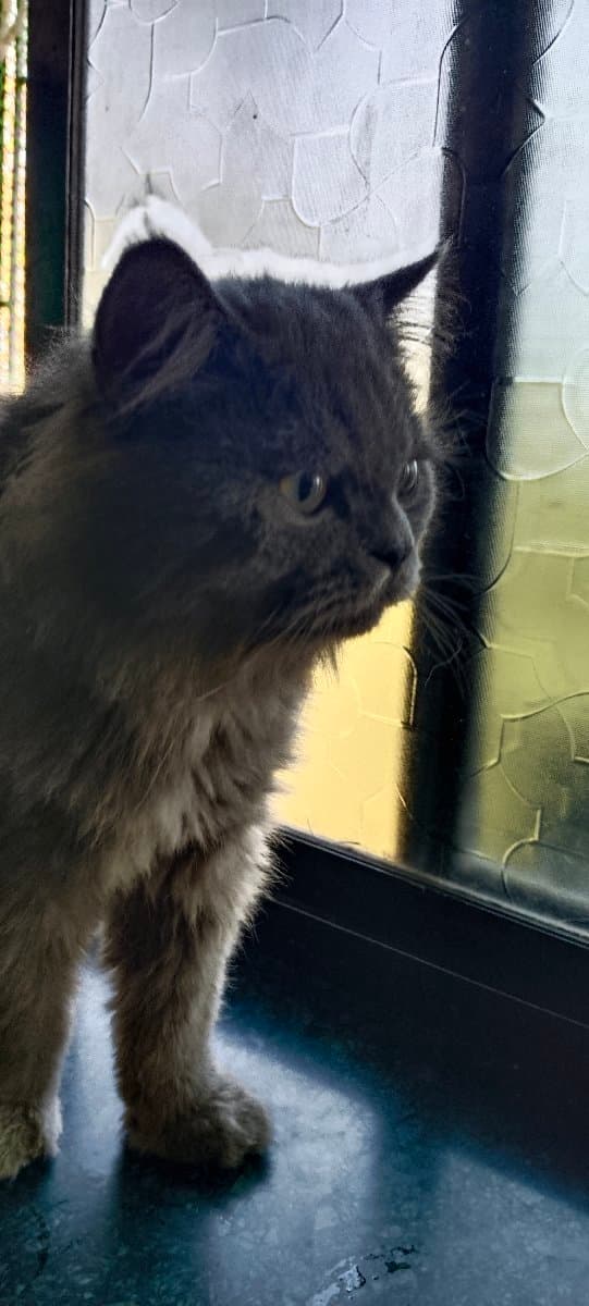 Mahalaxmi's home photo 5