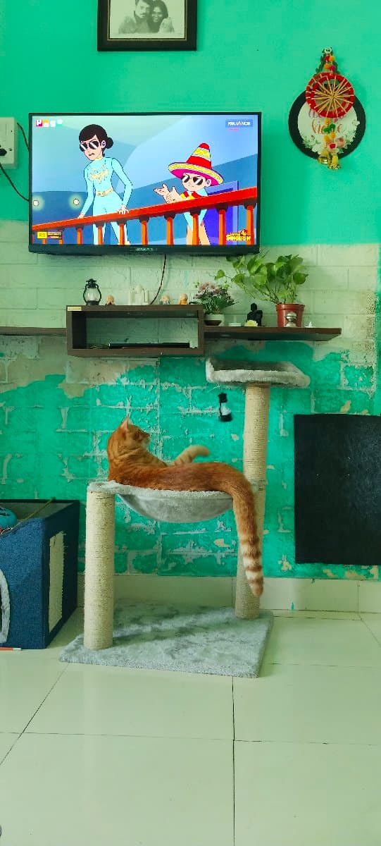 Mahalaxmi's home photo 6