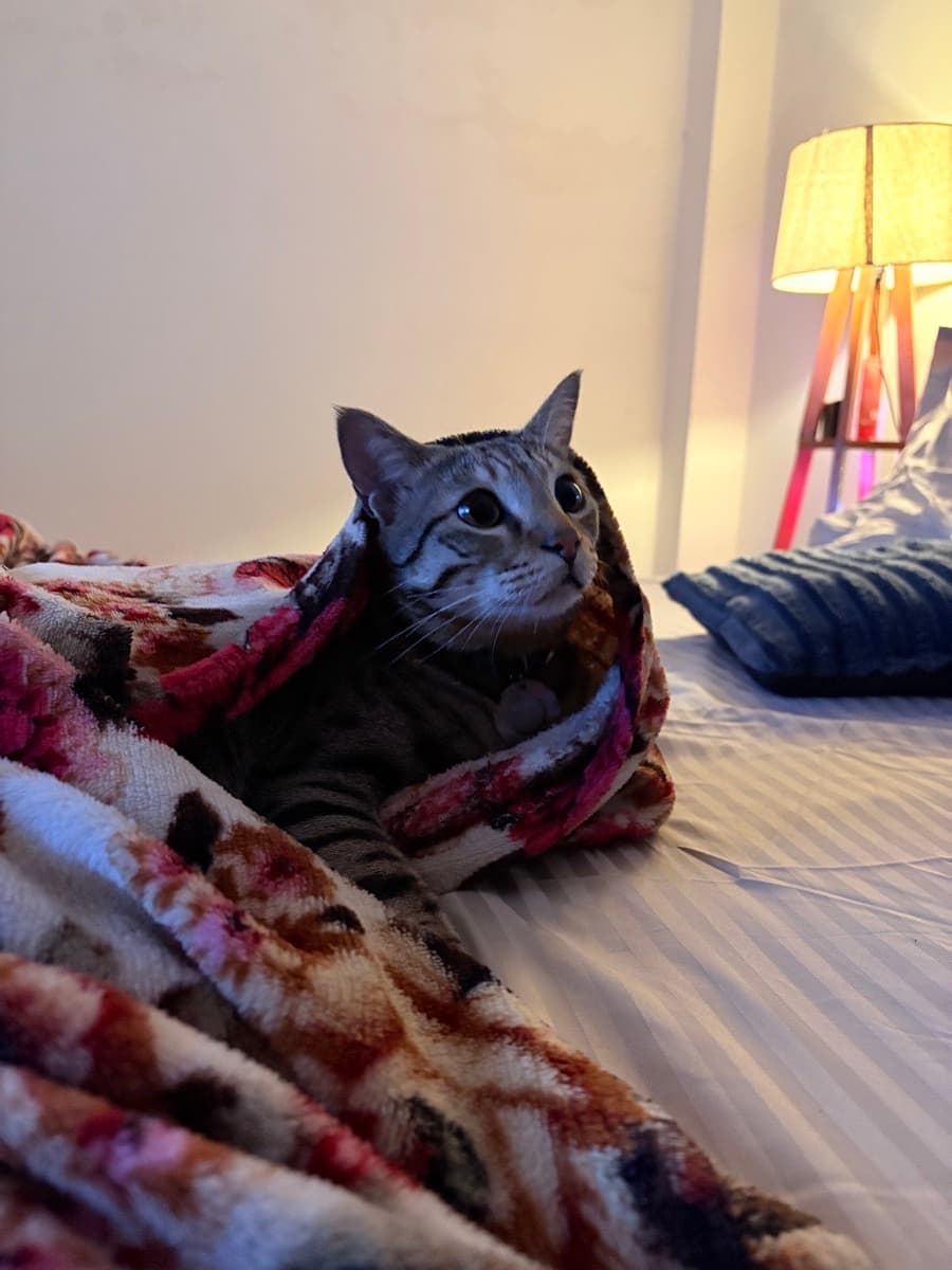 Jagriti's home photo 1