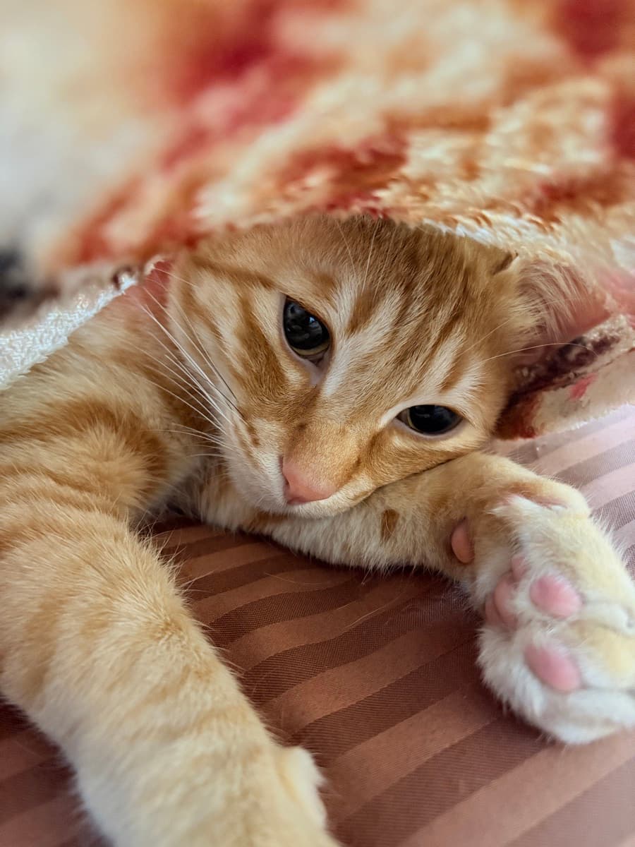 Jagriti's home photo 2