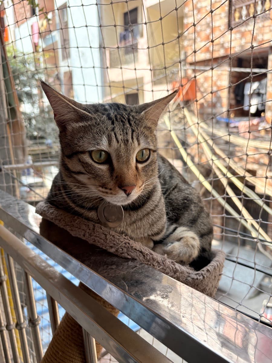 Jagriti's home photo 3