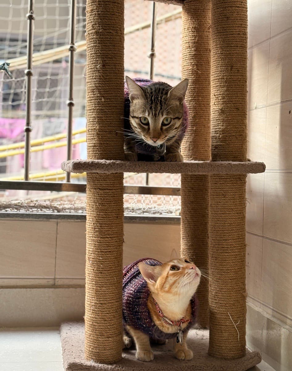 Jagriti's home photo 4