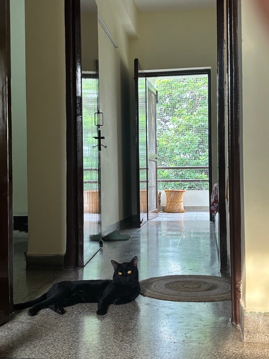 Surbhi's home photo 2