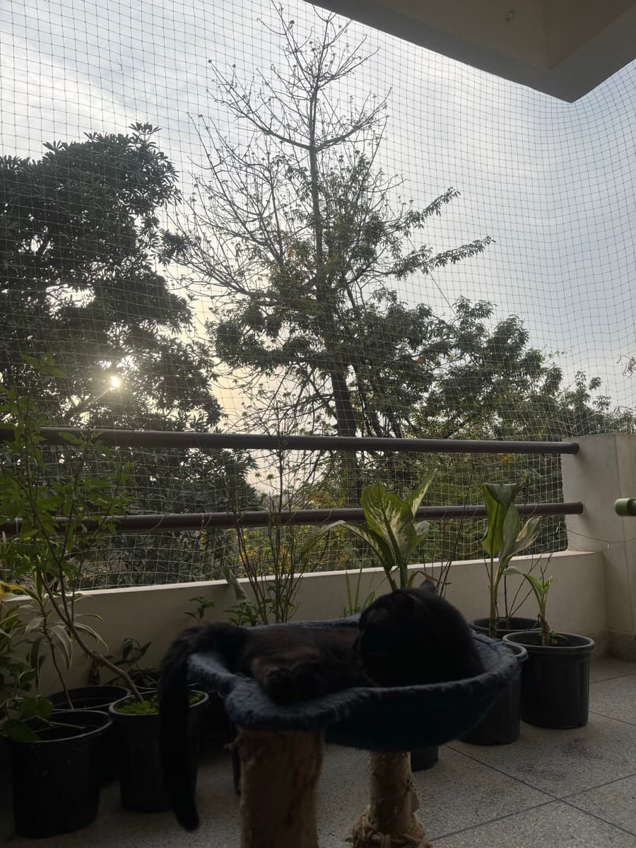 Surbhi's home photo 3