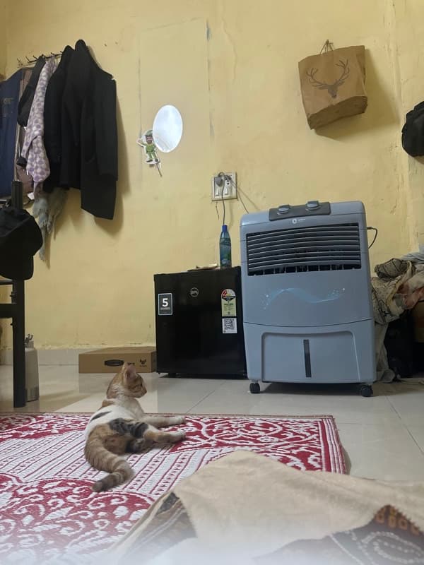 Nachiket's home photo 1