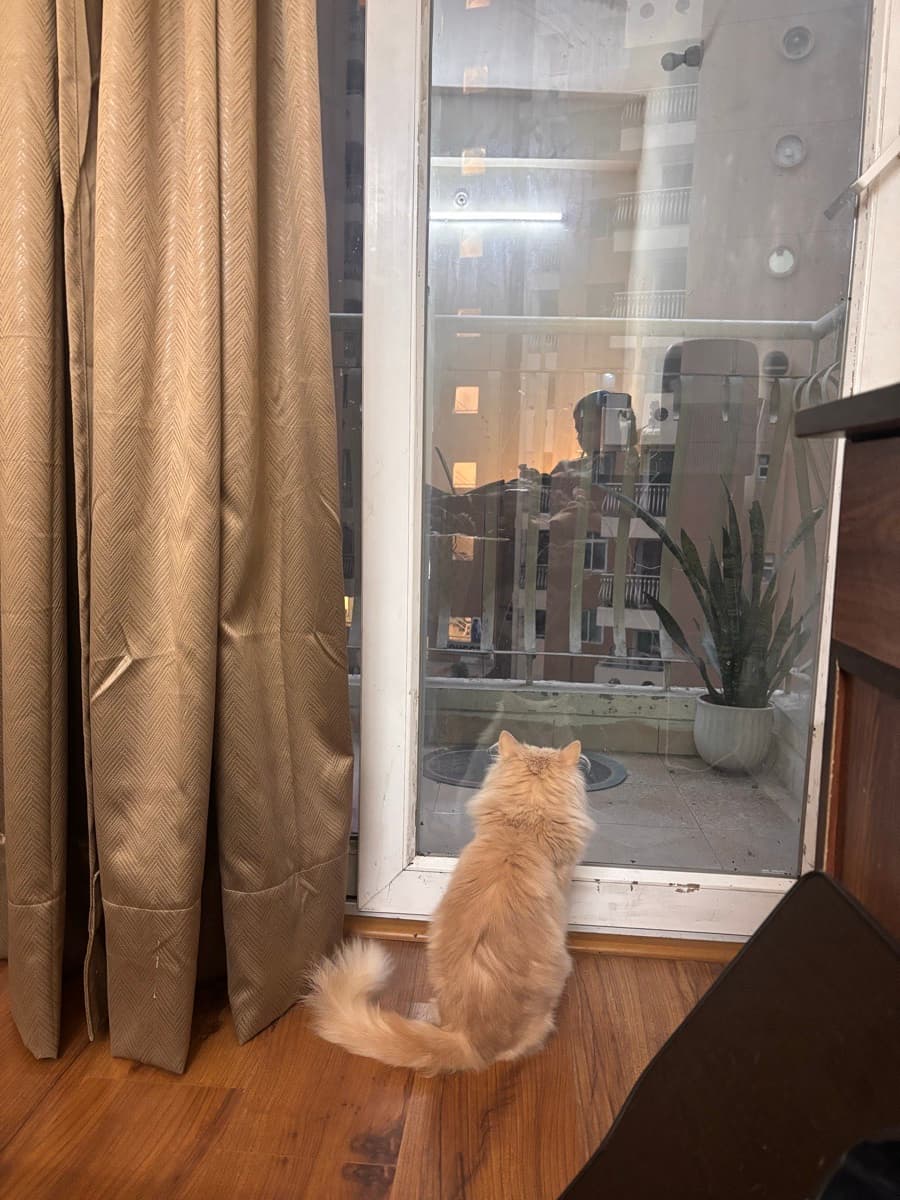 Vimmi's home photo 1