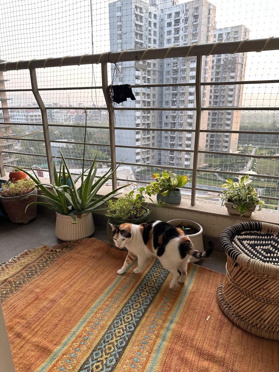 Ishan's home photo 1