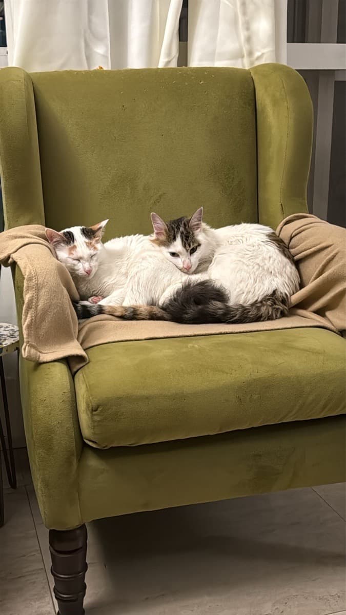 Ishan's home photo 5