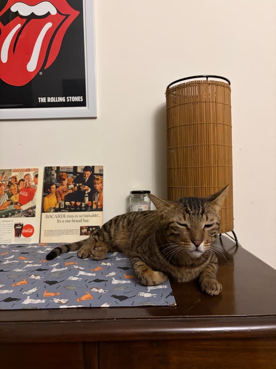 Ishan's home photo 2